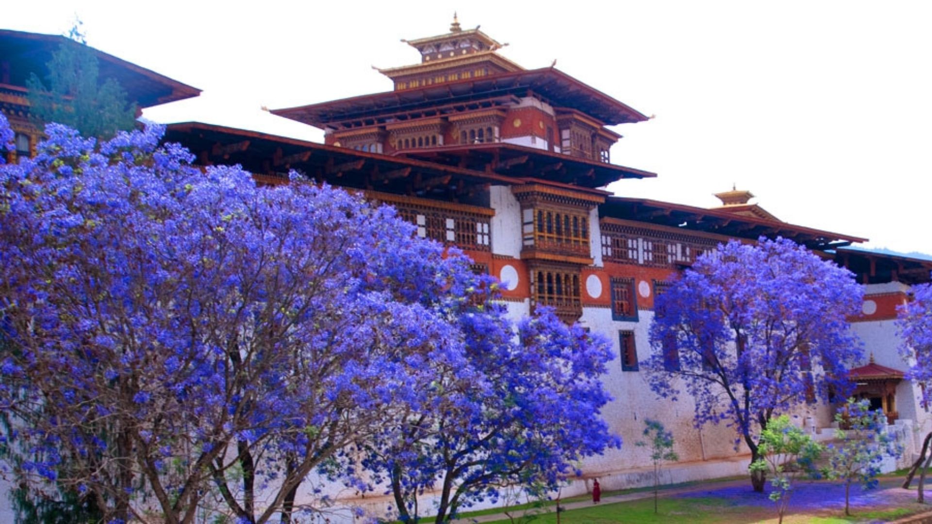 Bhutan retreat experience