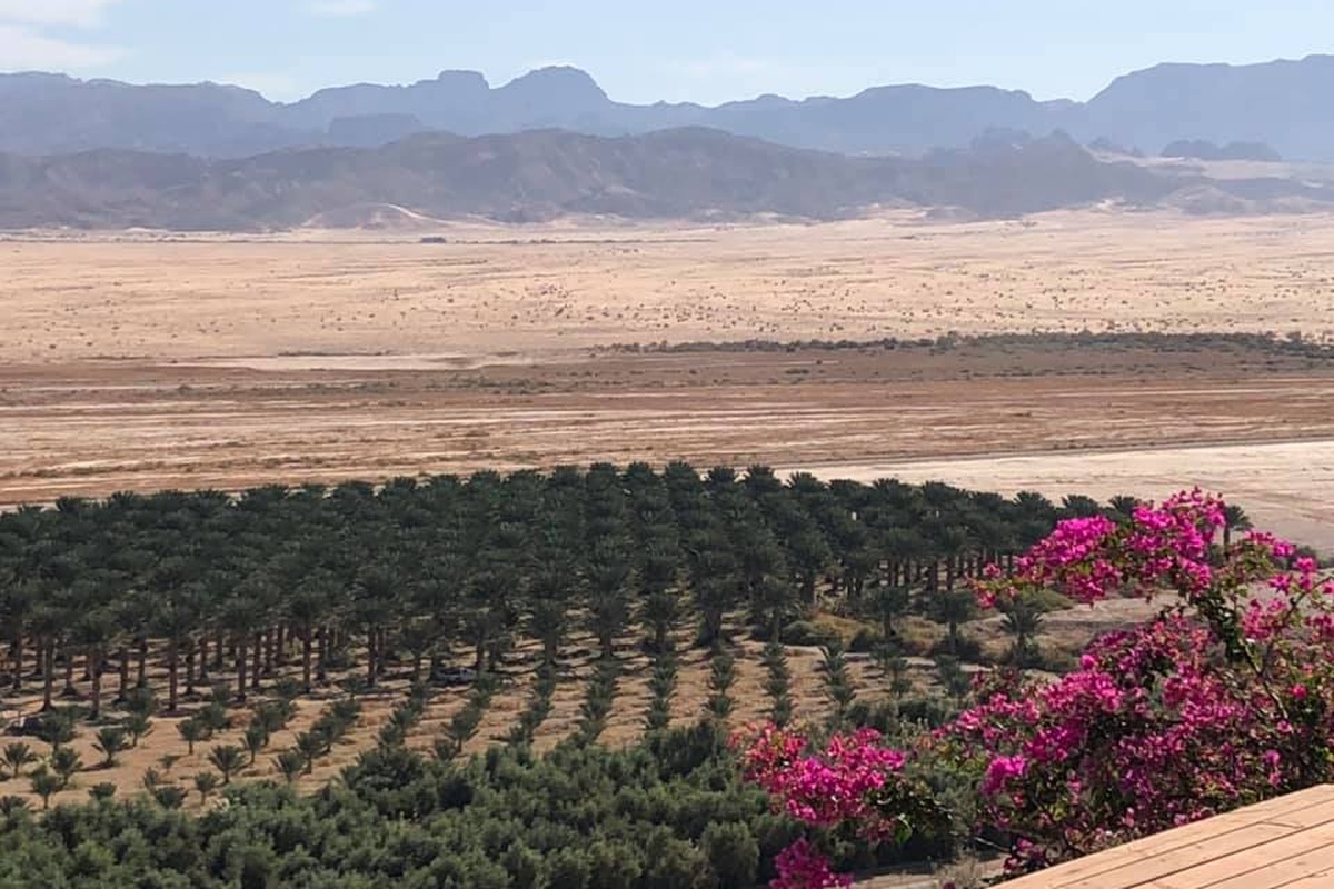 arandal_5_1200x800_3x2